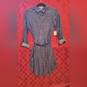NWT Charlotte Russe denim dress size: small